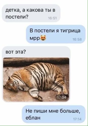 Тигрица в постели