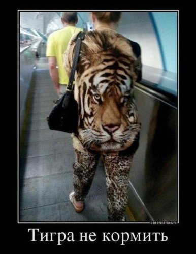 Тигр юмор