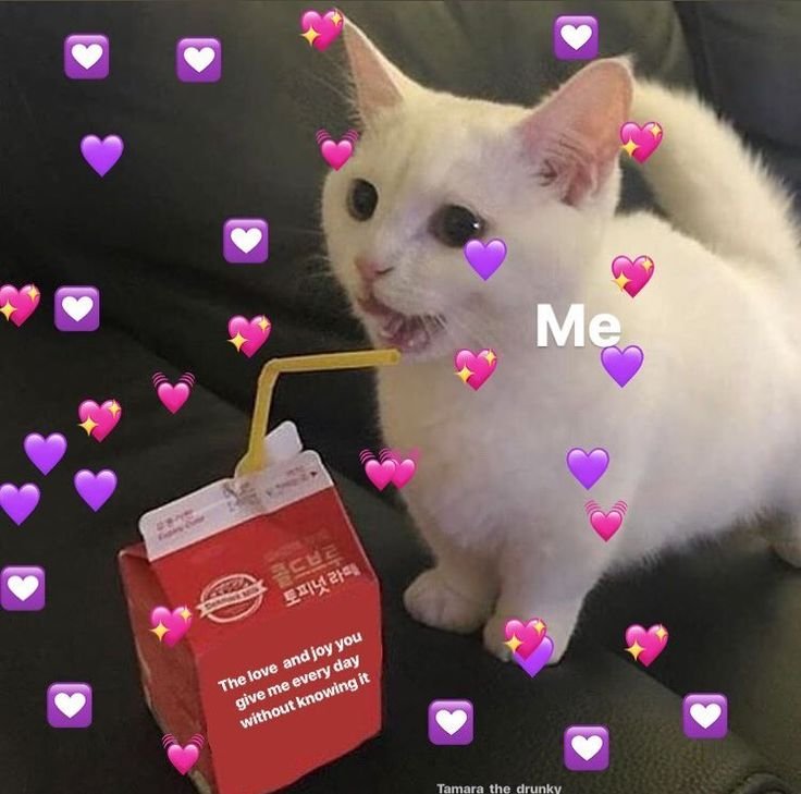 Котик с сердечком