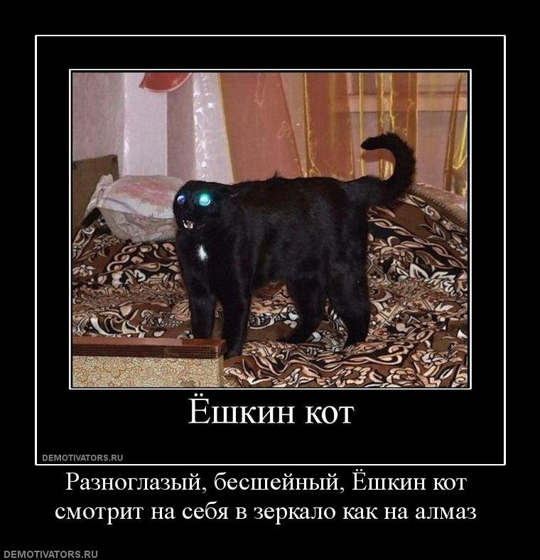 Ешкин кот рисунок