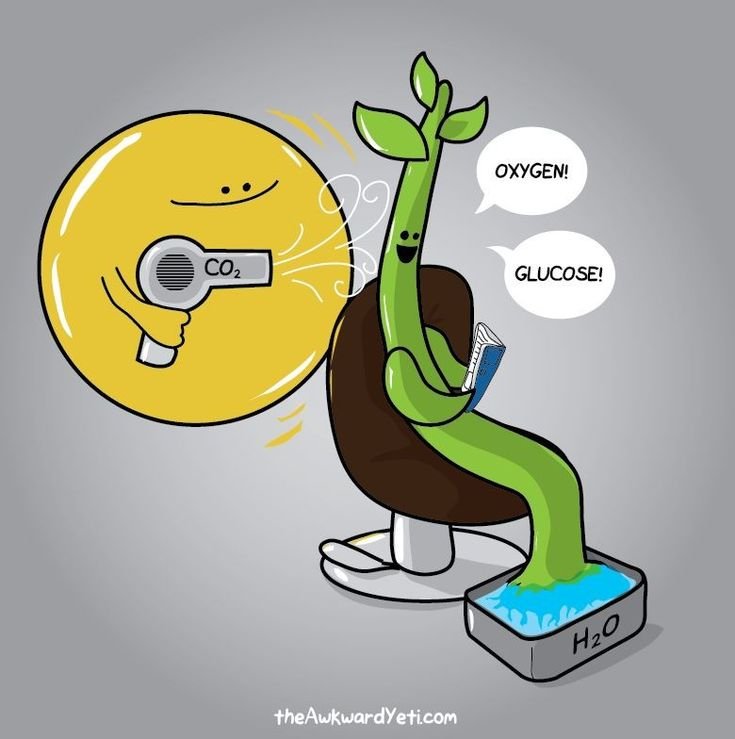 Мемы про биологию