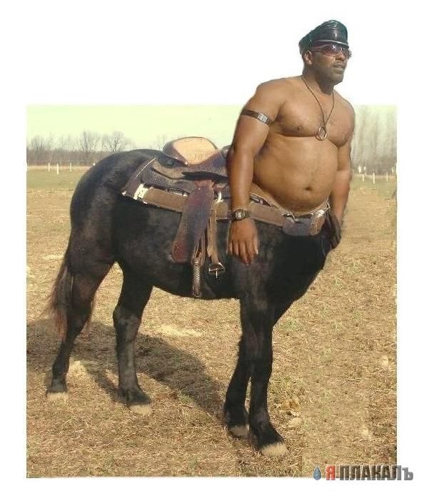 Сергей Коршунов Брянск