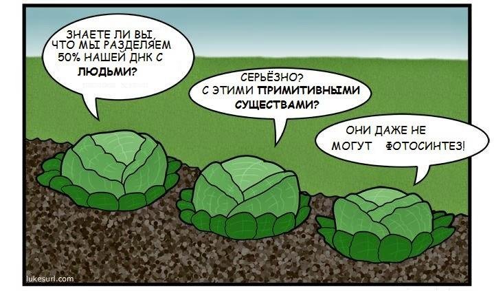 Биологические анекдоты