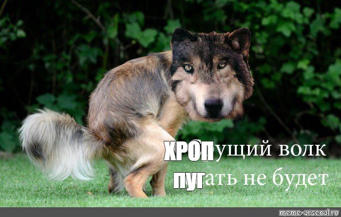 Мемы с волками