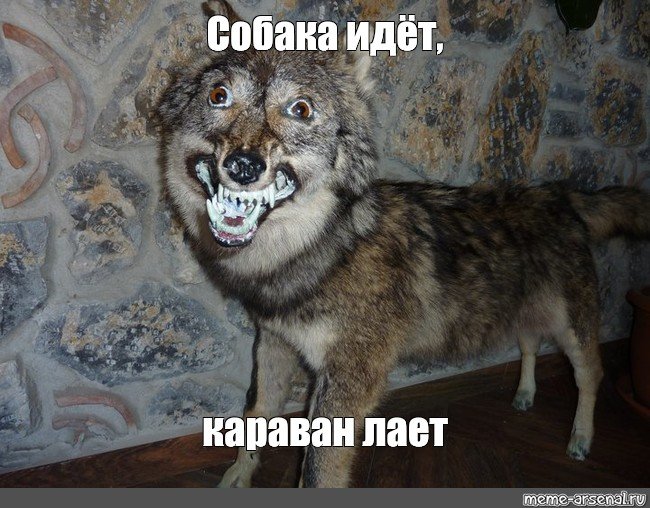 Чучело волка