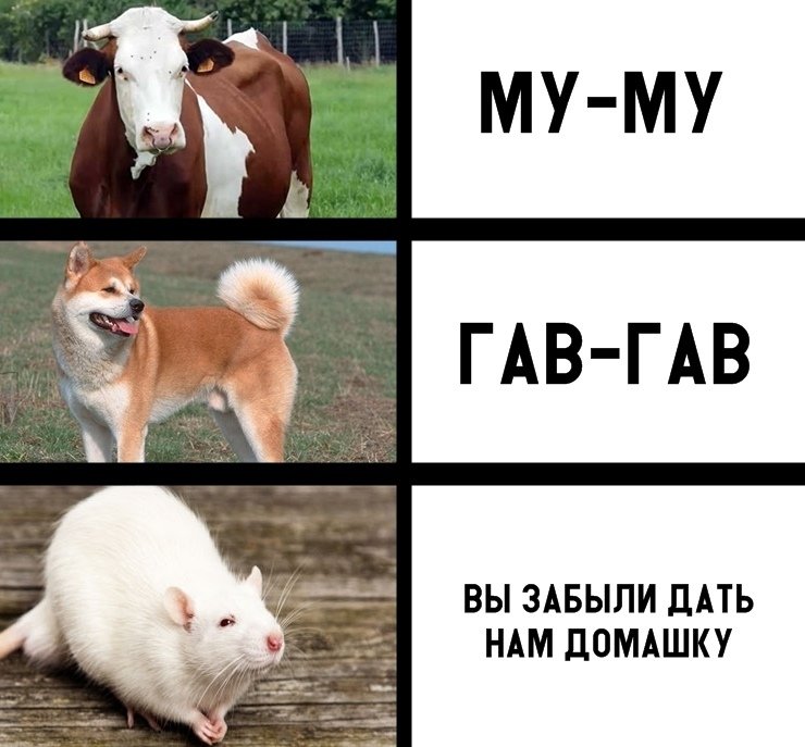 Собачка делает Гав Гав