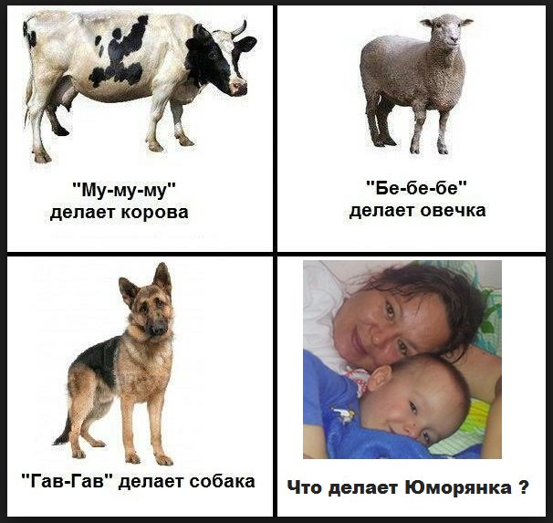 Собака Гав Гав