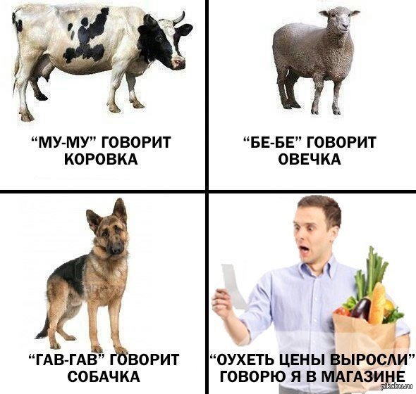 Коровка му собачка Гав