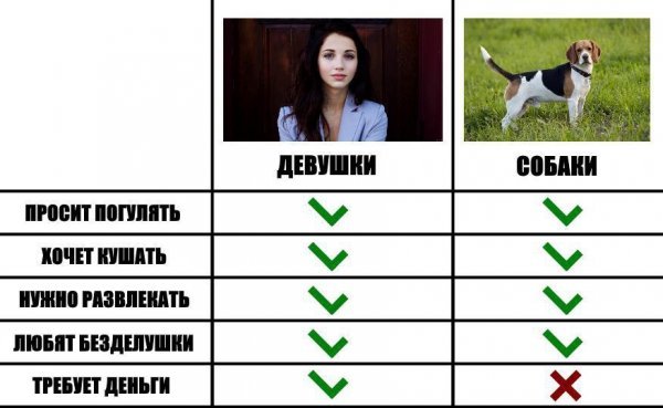 Мемы сравнение