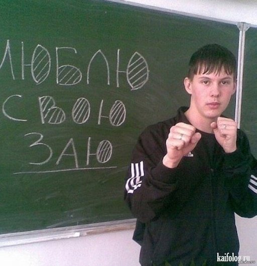 Люблю свою заю Мем