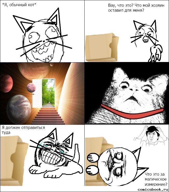 Смешные мемы с котами