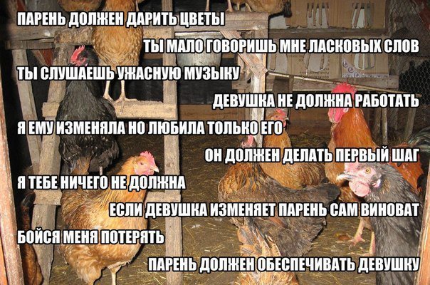 Мужчина должен и обязан