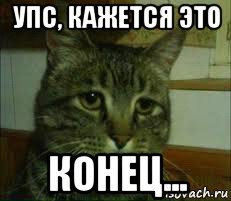 Конец презентации Мем с котом