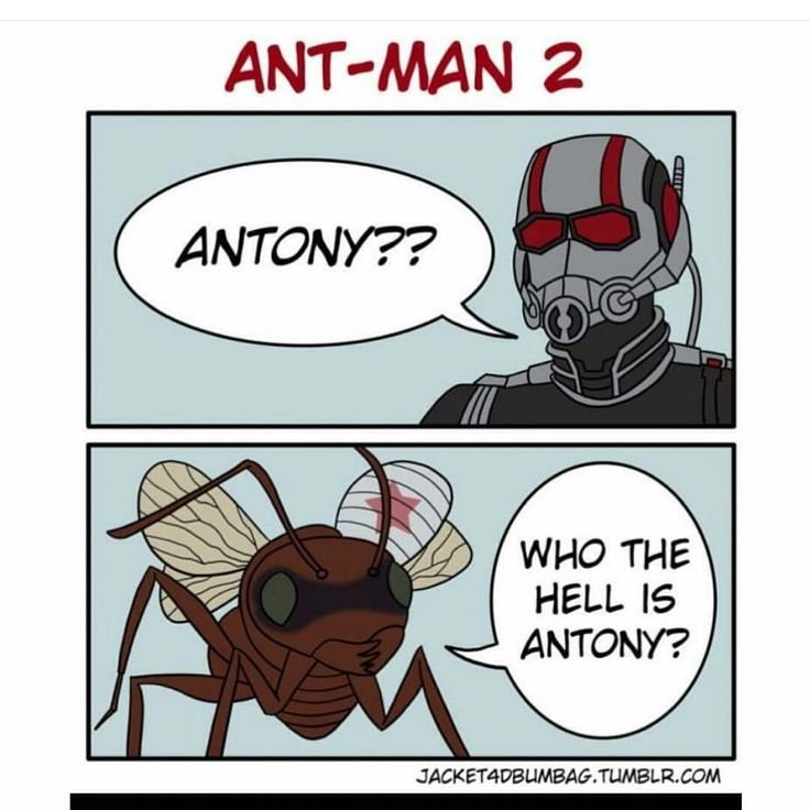 Человек муравей Мем