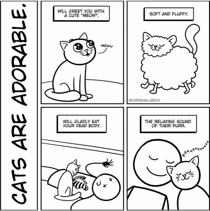 Комиксы с котиками