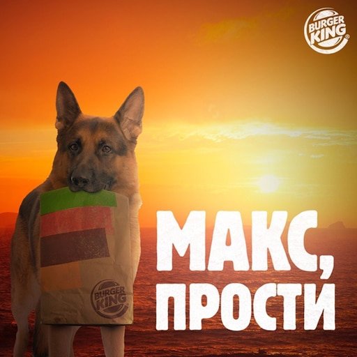 Макс мемы с собакой