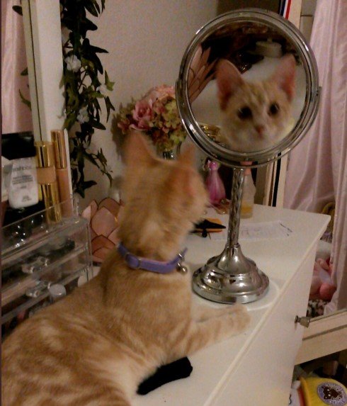 Зеркало «котик»