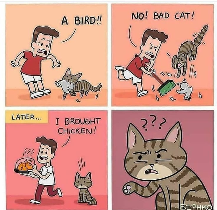 Смешные мемы про котов