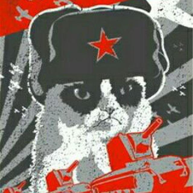 Кот коммунист