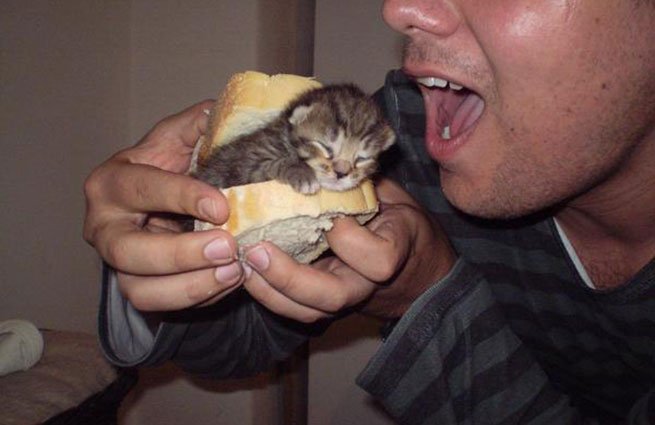 Мужик ест бутерброд