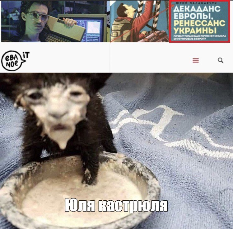 Котенок в сметане Мем