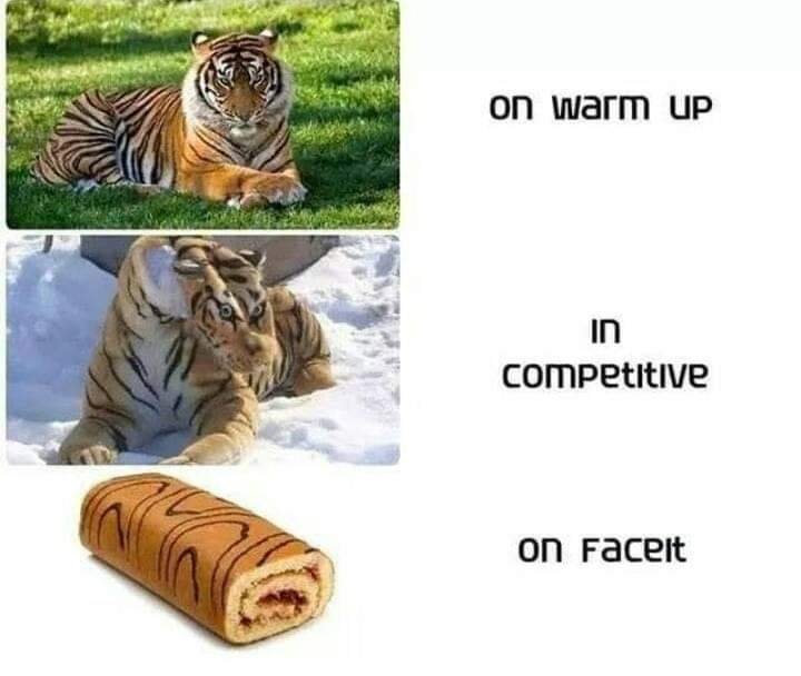 Тигр рулет Мем