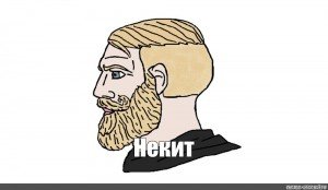 Бородатый мужик Мем