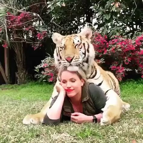 Красивая девушка с тигром