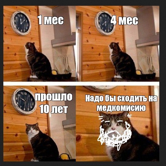 С котиком пора