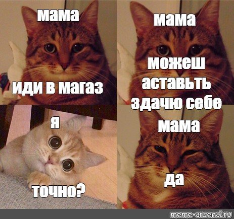 Мама кошка и котенок Мем