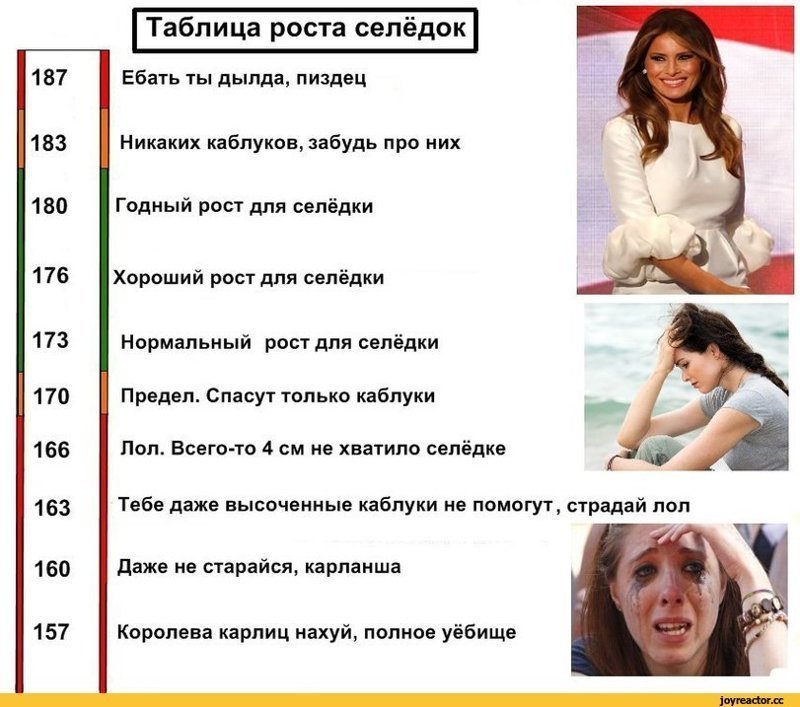 Таблица роста Двач