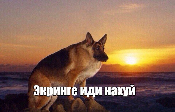 Овчарка иди Макс шаблон