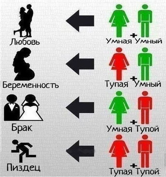 Умный и глупый человек