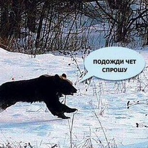 Подожди чет спрошу