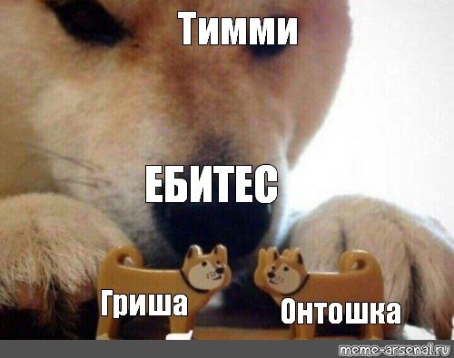 Деритесь Мем