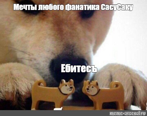 Акита ебитес