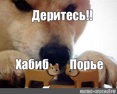 Деритесь Мем оригинал