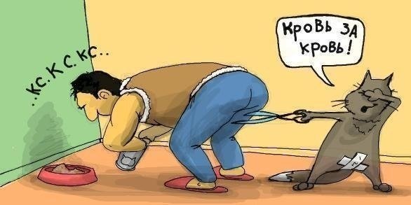 Кровь за кровь кот с ножницами