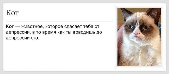 Котики от депрессии