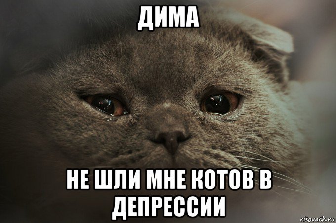 Грустные мемы