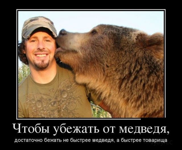Мужик и медведь