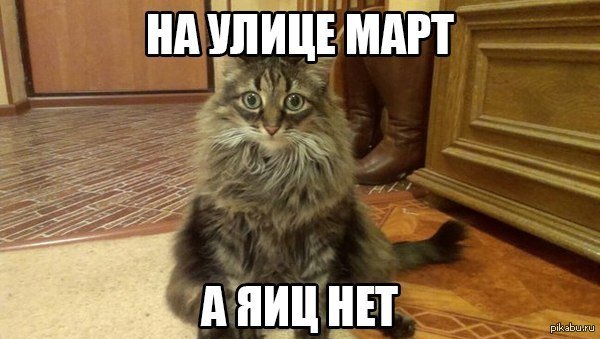 Где Мои яички кот