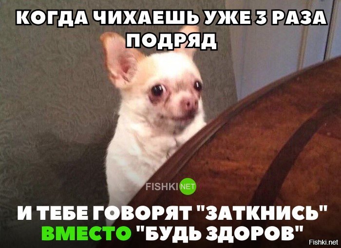 Когда хочешь чихнуть Мем
