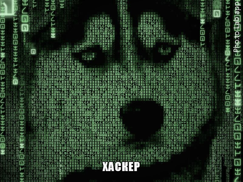 Киберпреступник Мем