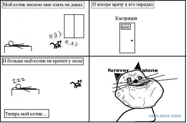 Мемы про кастрацию кота