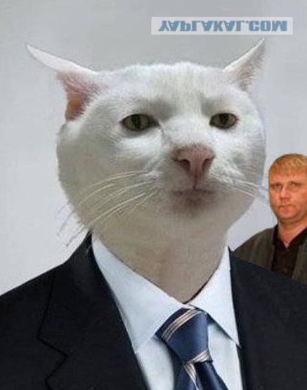 Черезныц кот в костюме