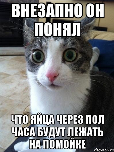 Кастрация кота Мем