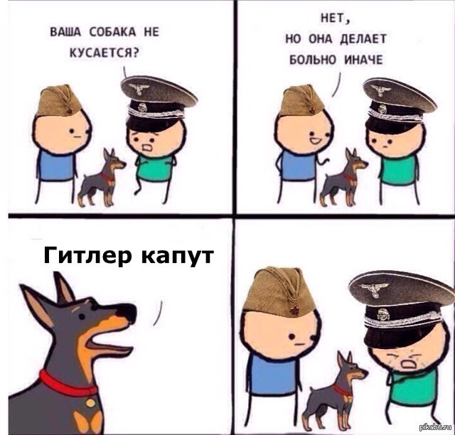 Собака делает больно по другому