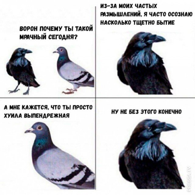 С вороной и пальцем и девушкой