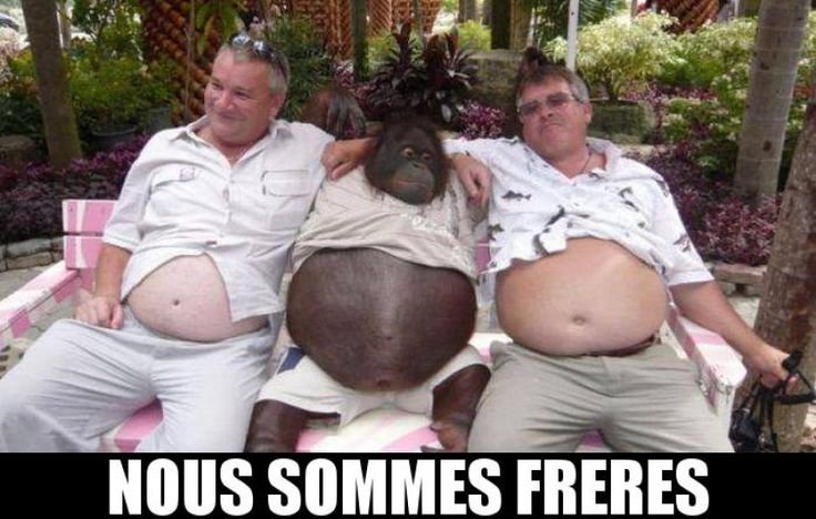 Люди большими животами